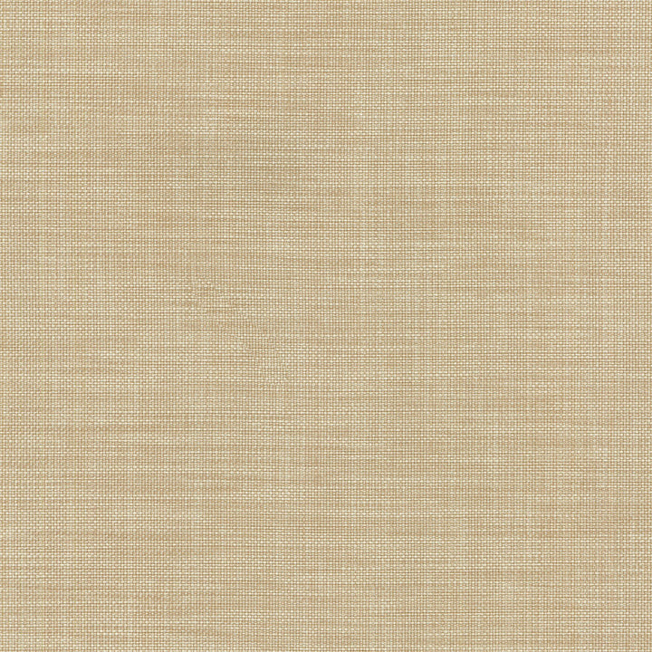 Flashback Ore 404419 by PKL Studio Fabric PKL STUDIO DEC'15 65% Polyester 35% Cotton INDIA Wyzenbeek 51,000 Horizontal: 0.00" and Vertical: 0.00" 54" - Fabric Carolina -