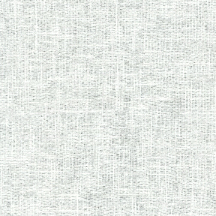 Shoreline Snow 404420 by PKL Studio Fabric - 55% LINEN 45% COTTON CHINA 24000 Horizontal: N/A and Vertical: N/A 55 - Fabric Carolina -