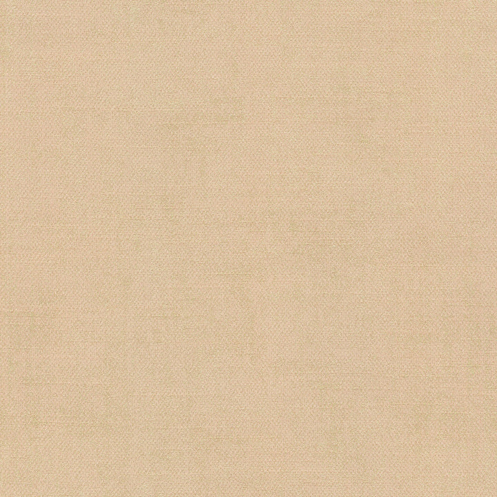 Exposure Gold 404486 by PKL Studio Fabric - 58% POLYESTER 42% COTTON India 51000 Horizontal: N/A and Vertical: N/A 55 - Fabric Carolina -