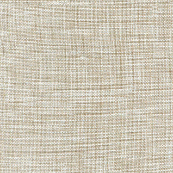 Flashback Corian 404501 by PKL Studio Fabric - 65%Polyester 35%Cotton INDIA 51000 Horizontal: 0 and Vertical: 0 54 - Fabric Carolina -