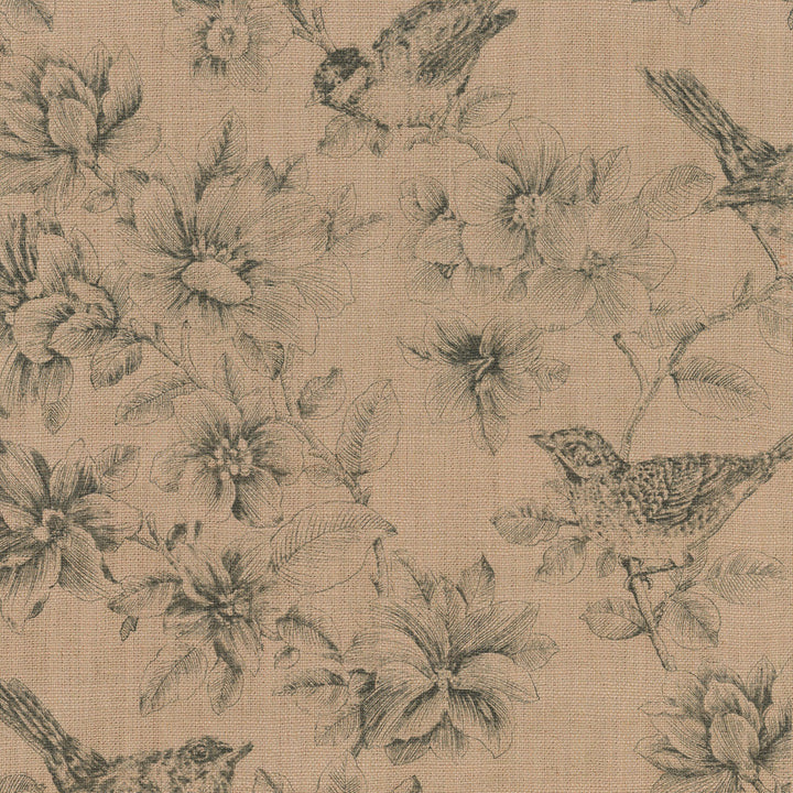 Garden Illustration Graphite 404560 by PKL Studio Fabric - 85% POLYESTER 15% LINEN CHINA 51000 Horizontal: 13.5 and Vertical: 25.25 54 - Fabric Carolina -