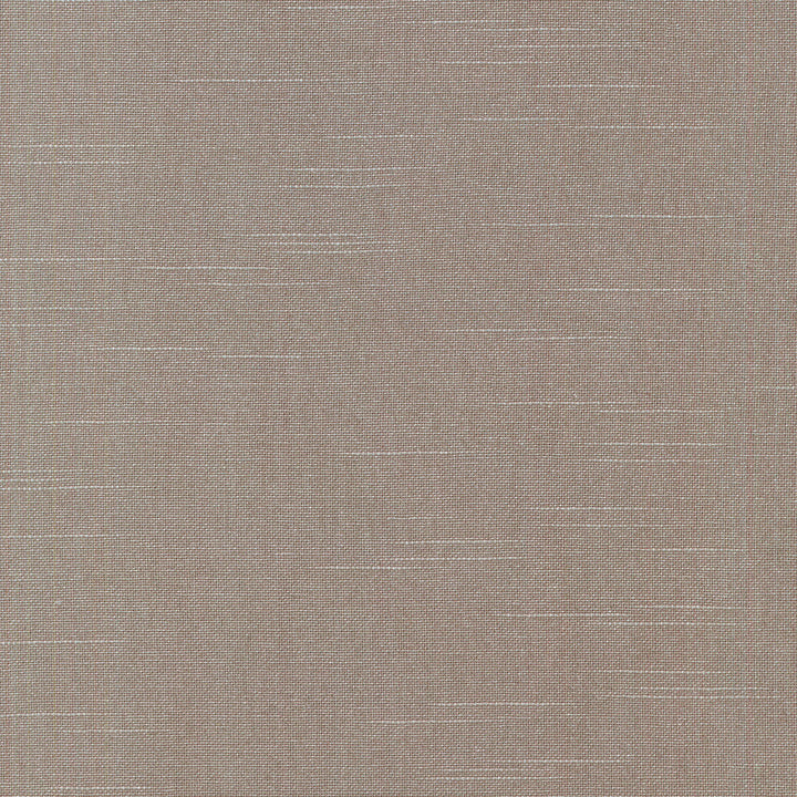 Comet Mercury Srd 404586 by PKL Studio Fabric PKL STUDIO DEC'15 100% Cotton CHINA Wyzenbeek 24,000 Horizontal: 0.00" and Vertical: 0.00" 54" - Fabric Carolina -