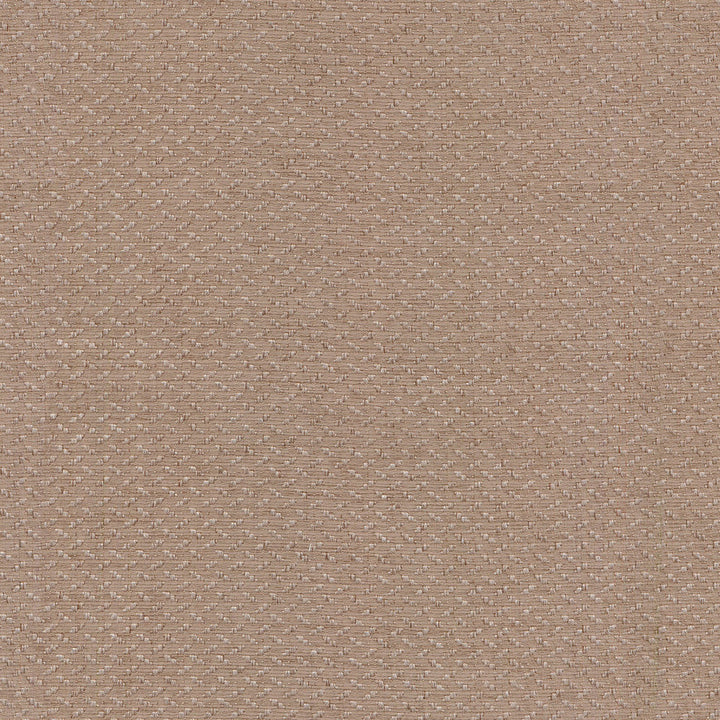 Grassland Twig 404745 by PKL Studio Fabric PKL STUDIO JUNE '16 100% Polyester CHINA Wyzenbeek 48,000 Horizontal: 0.38" and Vertical: 0.38" 56" - Fabric Carolina -