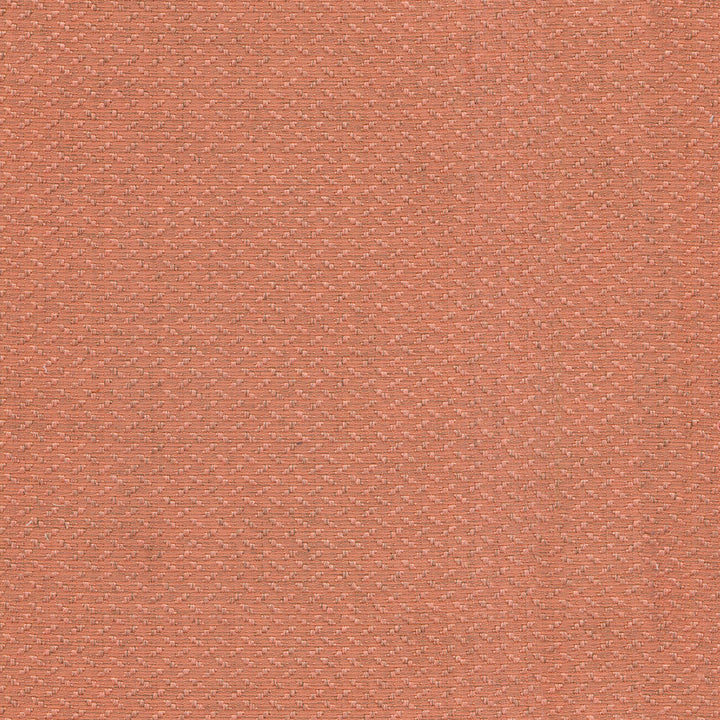 Grassland Coral 404749 by PKL Studio Fabric PKL STUDIO JUNE '16 100% Polyester CHINA Wyzenbeek 48,000 Horizontal: 0.38" and Vertical: 0.38" 56" - Fabric Carolina -