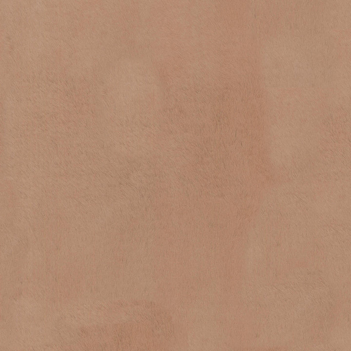 Furocious Mink 404772 by PKL Studio Fabric - 100%Polyester CHINA 30000 Horizontal: 0 and Vertical: 0 57 - Fabric Carolina -