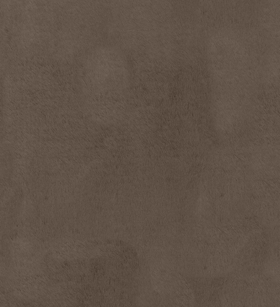 Furocious Bear 404773 by PKL Studio Fabric PKL STUDIO JUNE '16 100% Polyester CHINA Wyzenbeek 30,000 Horizontal: 0.00" and Vertical: 0.00" 57" - Fabric Carolina -