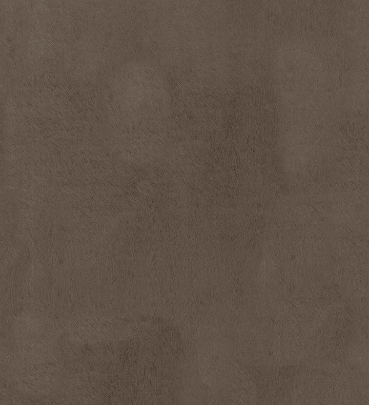 Furocious Bear 404773 by PKL Studio Fabric PKL STUDIO JUNE '16 100% Polyester CHINA Wyzenbeek 30,000 Horizontal: 0.00" and Vertical: 0.00" 57" - Fabric Carolina -