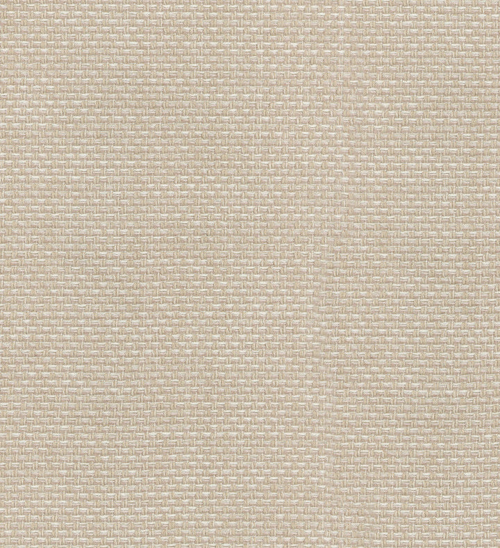 Axis Linen 404921 by PKL Studio Fabric PKL STUDIO DEC'16 100% Polyester CHINA Wyzenbeek 50,000 Horizontal: 0.00" and Vertical: 0.00" 55" - Fabric Carolina -