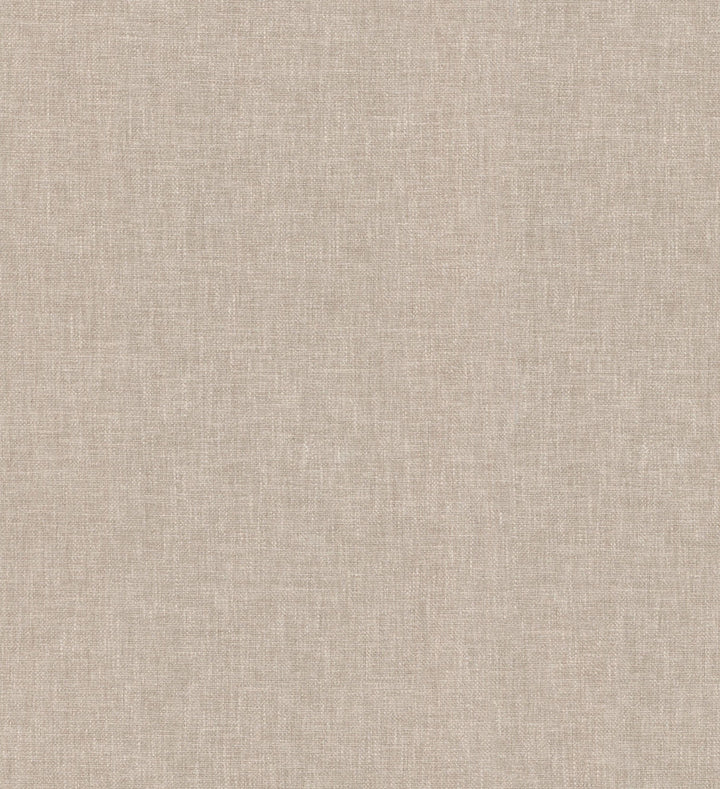Companion Linen 404960 by PKL Studio Fabric - 50%Polyester 50%Cotton INDIA 51000 Horizontal: 0 and Vertical: 0 55 - Fabric Carolina -