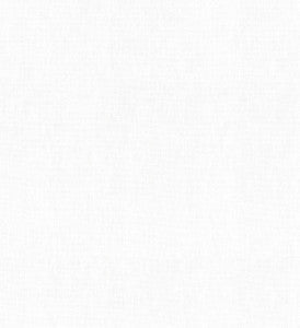 Companion Frost 404961 By PKL Studio Fabric