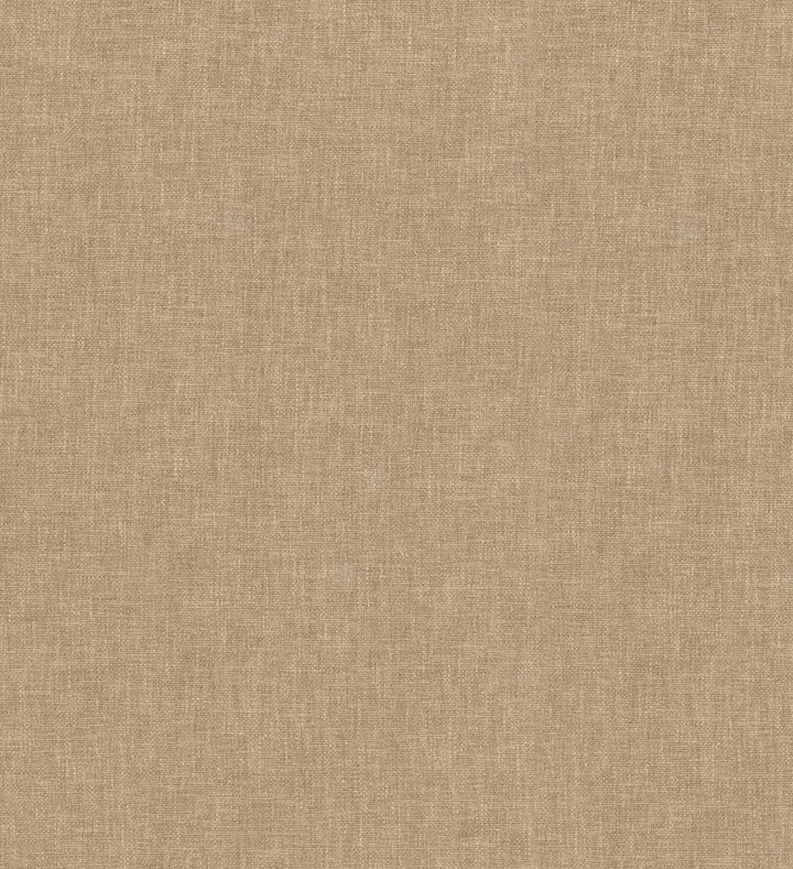 Companion Walnut 404964 by PKL Studio Fabric PKL STUDIO DEC'16 50% Polyester 50% Cotton INDIA Wyzenbeek 51,000 Horizontal: 0.00" and Vertical: 0.00" 55" - Fabric Carolina -