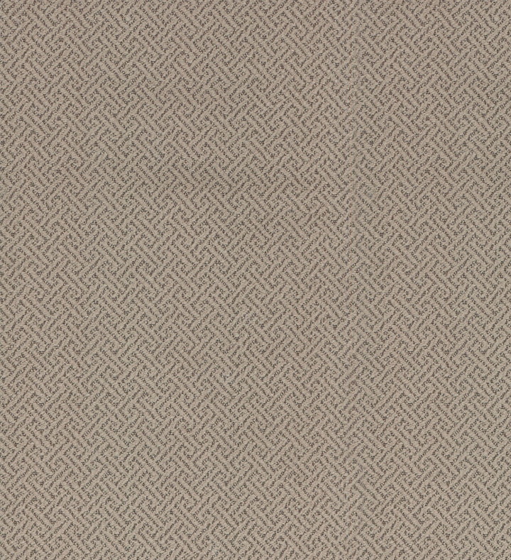 Sidekick Driftwood 404985 by PKL Studio Fabric - 100% POLYESTER LATEX BACKING CHINA 51000 Horizontal: 0.75 and Vertical: 0.75 55 - Fabric Carolina -
