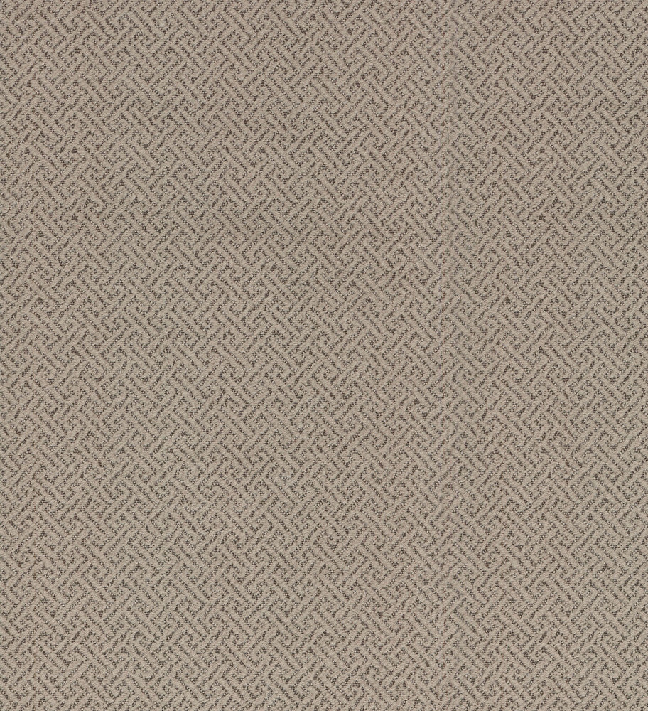 Sidekick DRIFTWOOD 404985 by PKL Studio Fabric - 100% Cotton 51000 Horizontal: 0.75 and Vertical: 0.75 55 - Fabric Carolina -