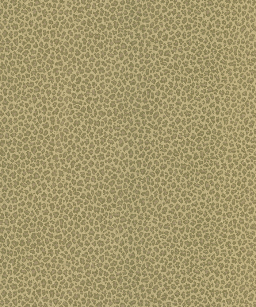 Cheetah Brown Animal Print Wallpaper by Brewster National Geographic Home Covers about 56.4 square feet 20.5-in by 33-ft long roll Prepasted 20.5 - Fabric Carolina -