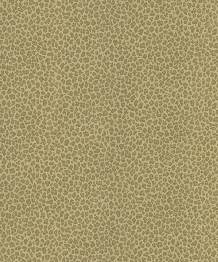 Cheetah Brown Animal Print Wallpaper by Brewster National Geographic Home Covers about 56.4 square feet 20.5-in by 33-ft long roll Prepasted 20.5 - Fabric Carolina -