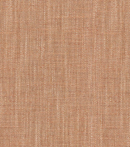 Rasham Russet-Srd 405102 by PKL Studio Fabric