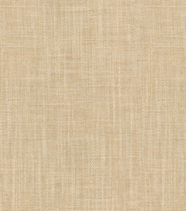 RASHAM CORNSILK 405103 by PKL Studio Fabric - 100% POLYESTER 40000 Horizontal: 0.5 and Vertical: 0.75 54 - Fabric Carolina -