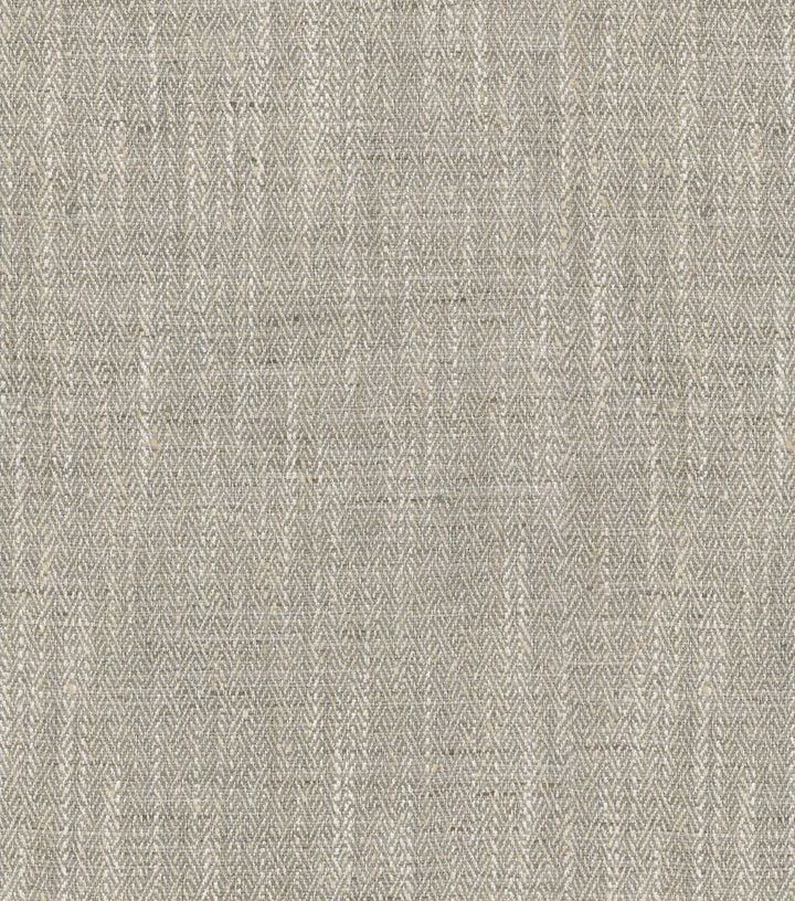 Rasham Fossil 405105 by PKL Studio Fabric - 100% POLYESTER INDIA 40000 Horizontal: 0.5 and Vertical: 0.75 54 - Fabric Carolina -