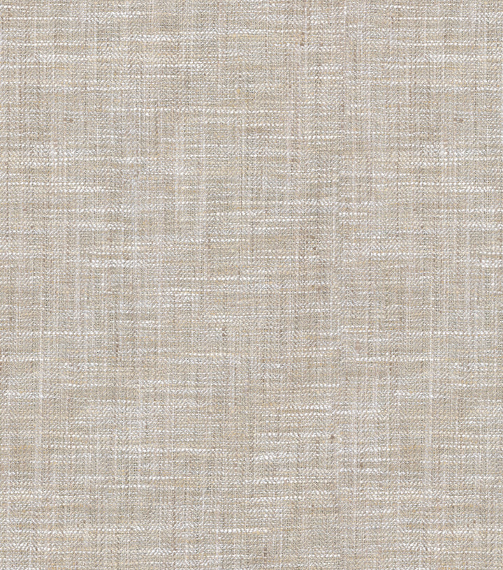 Mulberry Oyster 405113 by PKL Studio Fabric - 71% POLY 29% COTTON 100% POLYACRYLIC 27000 Horizontal: 0.63 and Vertical: 0.13 54 - Fabric Carolina -
