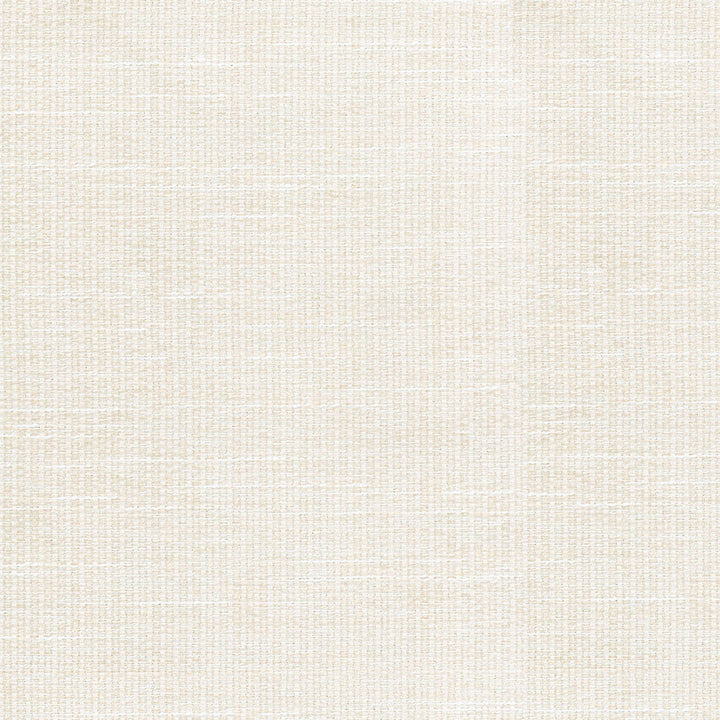 Etcetera Ivory 405151 by PKL Studio Fabric - 90% POLYESTER 10% RAYON CHINA 51000 Horizontal: 0 and Vertical: 0 54 - Fabric Carolina -