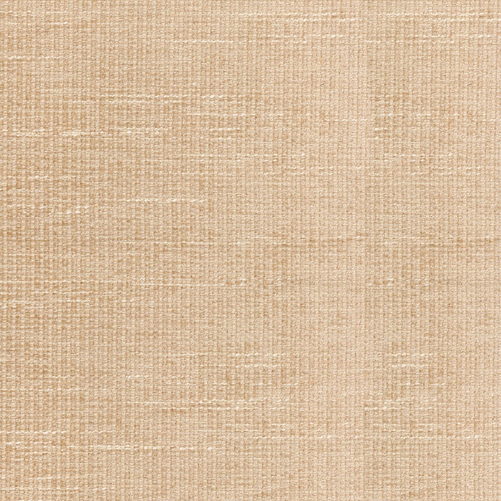 Etcetera Sand 405152 by PKL Studio Fabric - 90% POLYESTER 10% RAYON CHINA 51000 Horizontal: 0 and Vertical: 0 54 - Fabric Carolina -