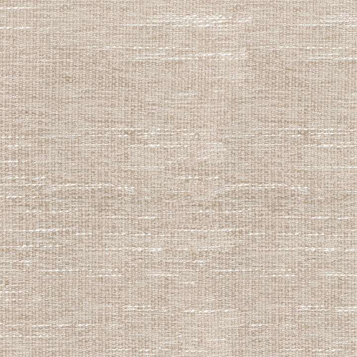 Etcetera Fossil 405153 by PKL Studio Fabric - 90% POLYESTER 10% RAYON CHINA 51000 Horizontal: 0 and Vertical: 0 54 - Fabric Carolina -