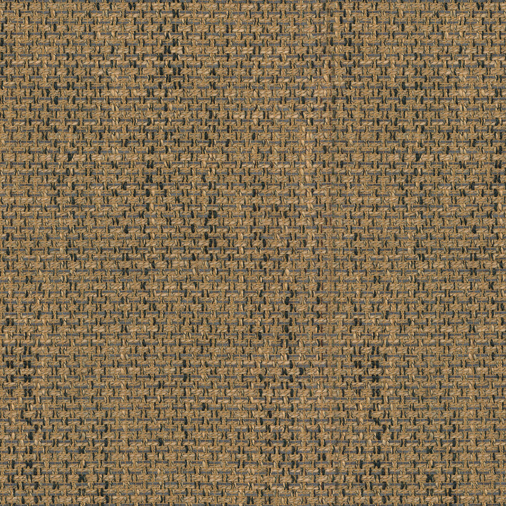 Interweave Raffia 405175 by PKL Studio Fabric - 100% POLYESTER China 51000 Horizontal: 0 and Vertical: 0 55 - Fabric Carolina -