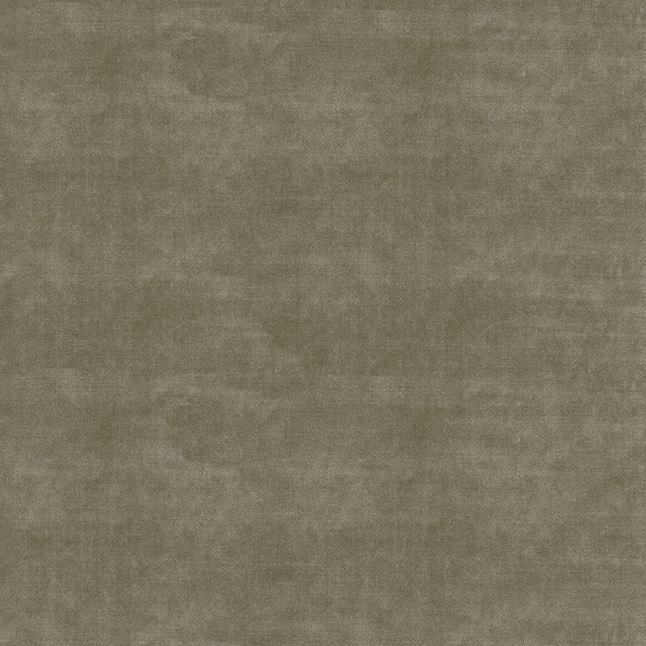 Velluto Sage 405563 by PKL Studio Fabric - 100%Polyester China 51000 Horizontal: 0 and Vertical: 0 54 - Fabric Carolina -