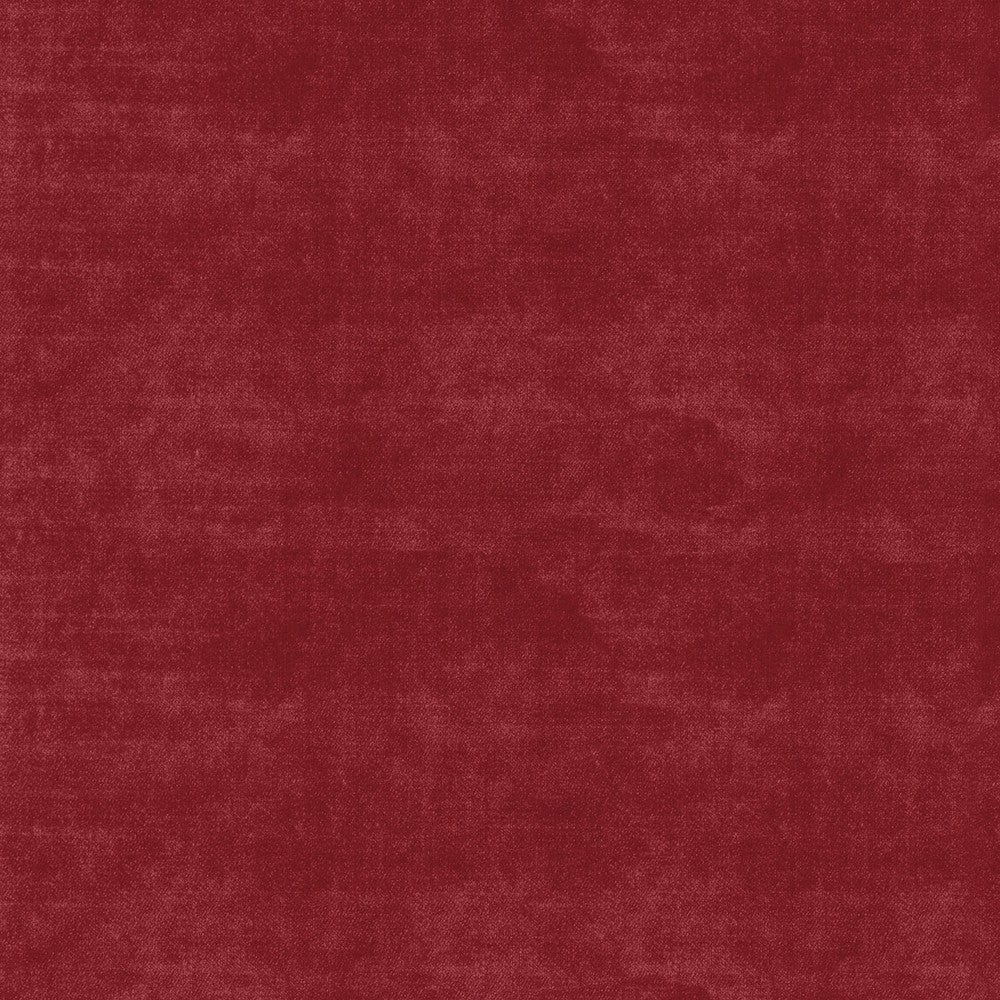VELLUTO BERRY 405564 by PKL Studio Fabric - 100% COTTON 51000 Horizontal: 0 and Vertical: 0 54 - Fabric Carolina -