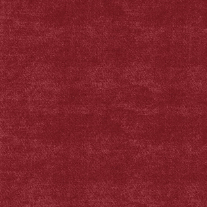 Velluto Berry 405564 by PKL Studio Fabric PKL STUDIO OCT 2017 100% Polyester CHINA Wyzenbeek 51,000 Horizontal: 0.00" and Vertical: 0.00" 54" - Fabric Carolina -