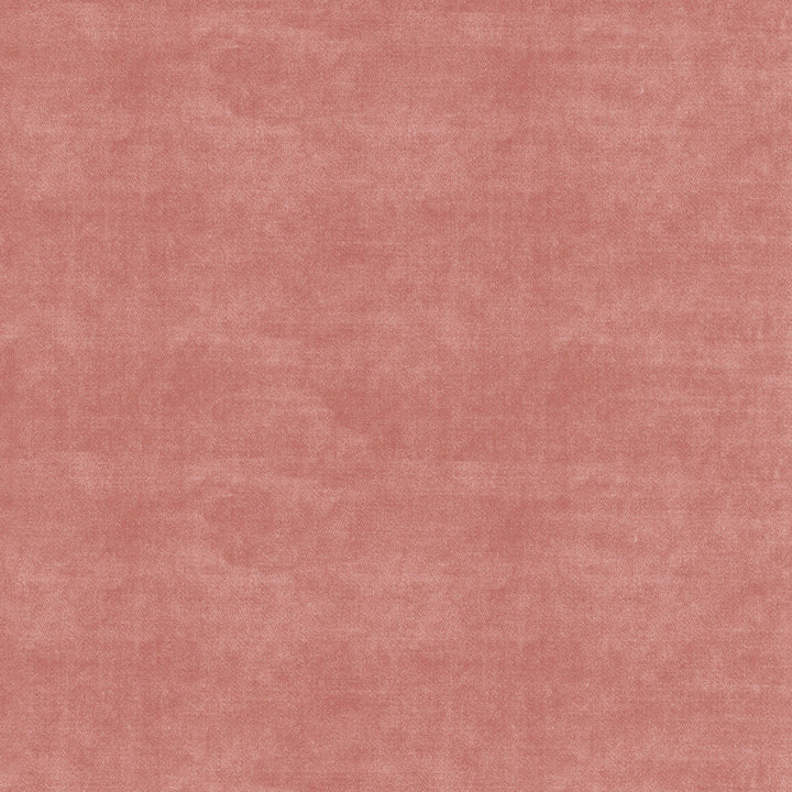 Velluto Ballet 405565 by PKL Studio Fabric - 100%Polyester China 51000 Horizontal: 0 and Vertical: 0 54 - Fabric Carolina -