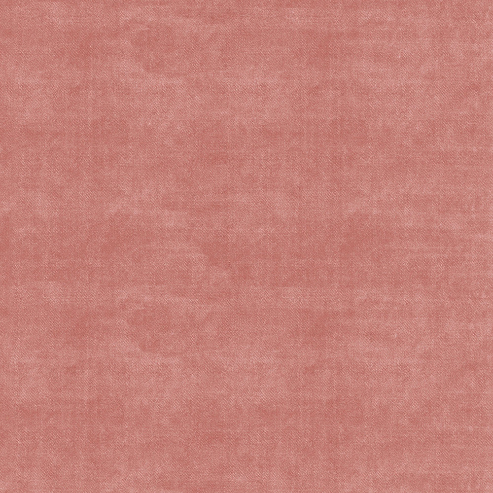 Velluto Ballet 405565 by PKL Studio Fabric - 100%Polyester China 51000 Horizontal: 0 and Vertical: 0 54 - Fabric Carolina -
