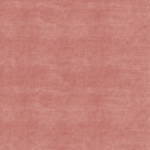 Velluto Ballet 405565 by PKL Studio Fabric