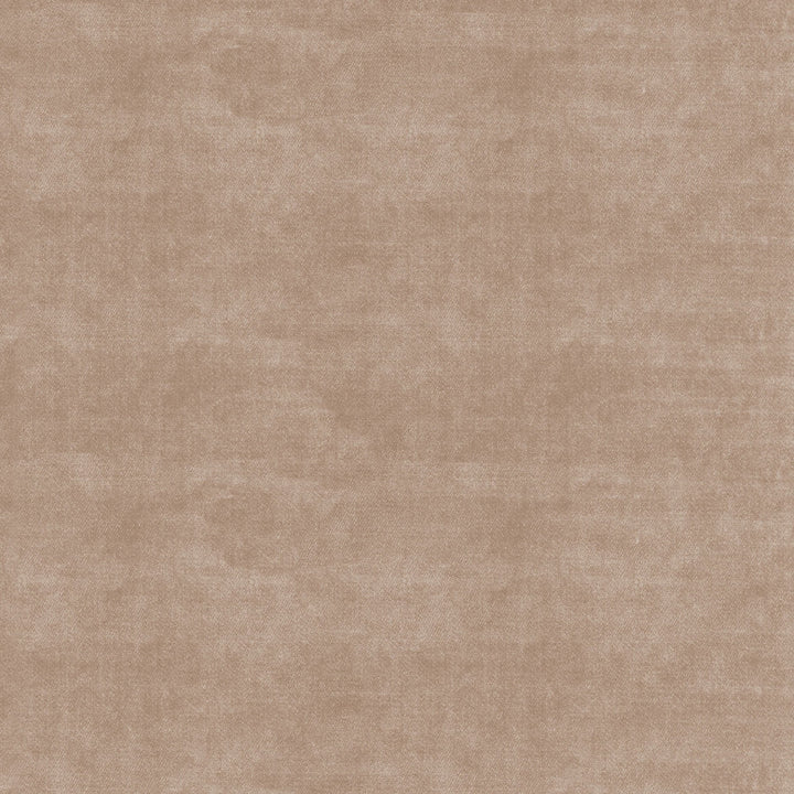 Velluto Honey 405566 by PKL Studio Fabric - 100%Polyester China 51000 Horizontal: 0 and Vertical: 0 54 - Fabric Carolina -