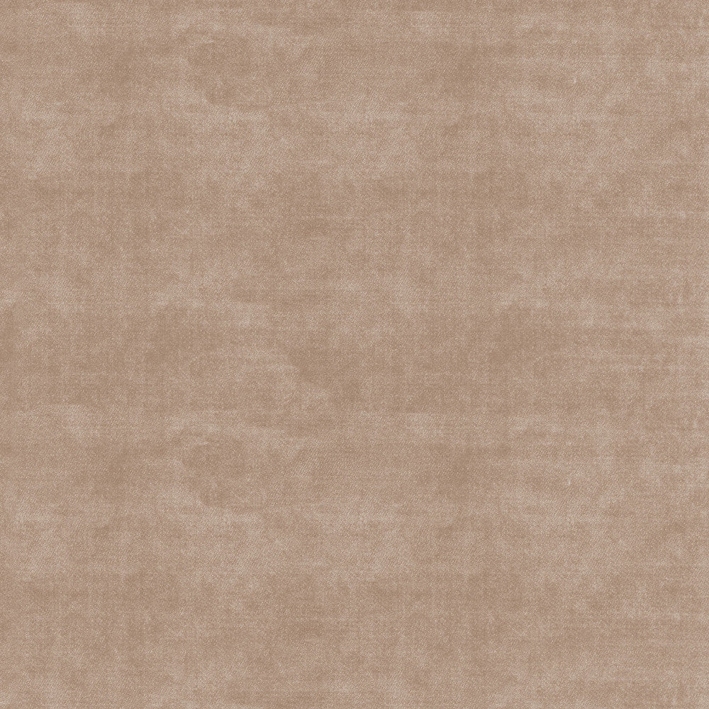 Velluto Honey 405566 by PKL Studio Fabric - 100%Polyester CHINA 51000 Horizontal: 0 and Vertical: 0 54 - Fabric Carolina -