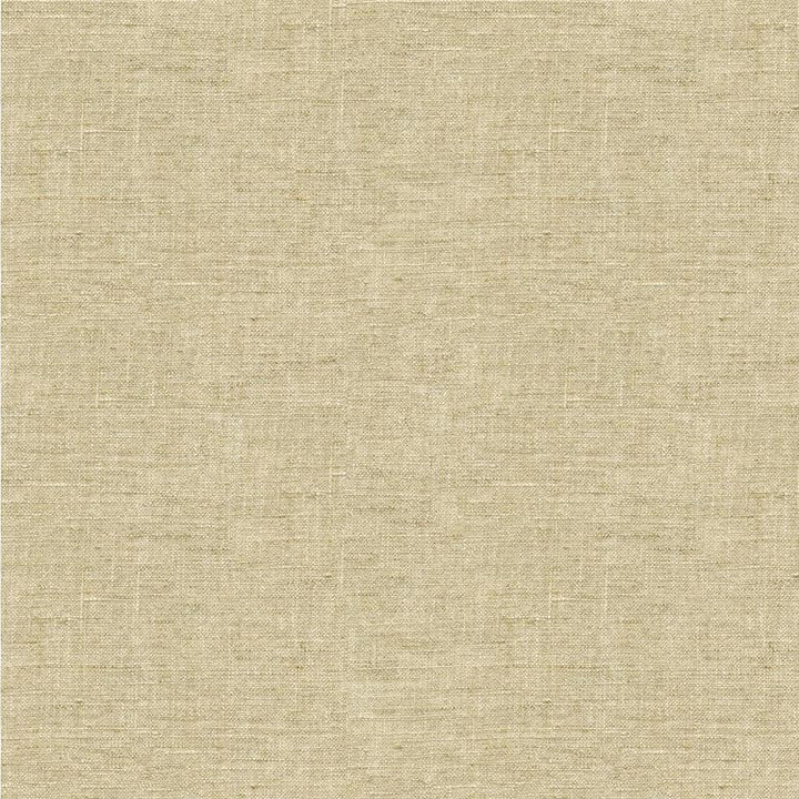 4058.16 by Kravet Basics Designer Fabric our website for purchase Linen 100% India see sample Horizontal: see sample and Vertical: see sample 54 inches - Swanky Fabrics -