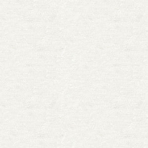 Kravet Basics 4058-101 by Kravet Basics Fabric