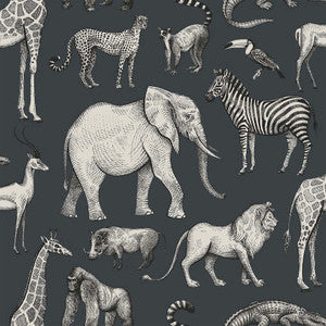 Kenji Navy Safari Wallpaper by Chesapeake