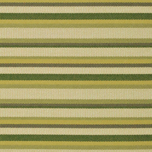 Boardwalk Stripe Jungle 406204 by Sunformance Fabric