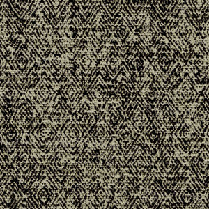 Ledo Onyx 406302 by Sunformance Fabric