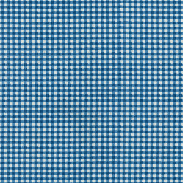 Gingham Porcelain 406700 by PKL Studio Fabric - 100% COTTON USA 51000 Horizontal: 2.6 and Vertical: 1.5 54 - Fabric Carolina -