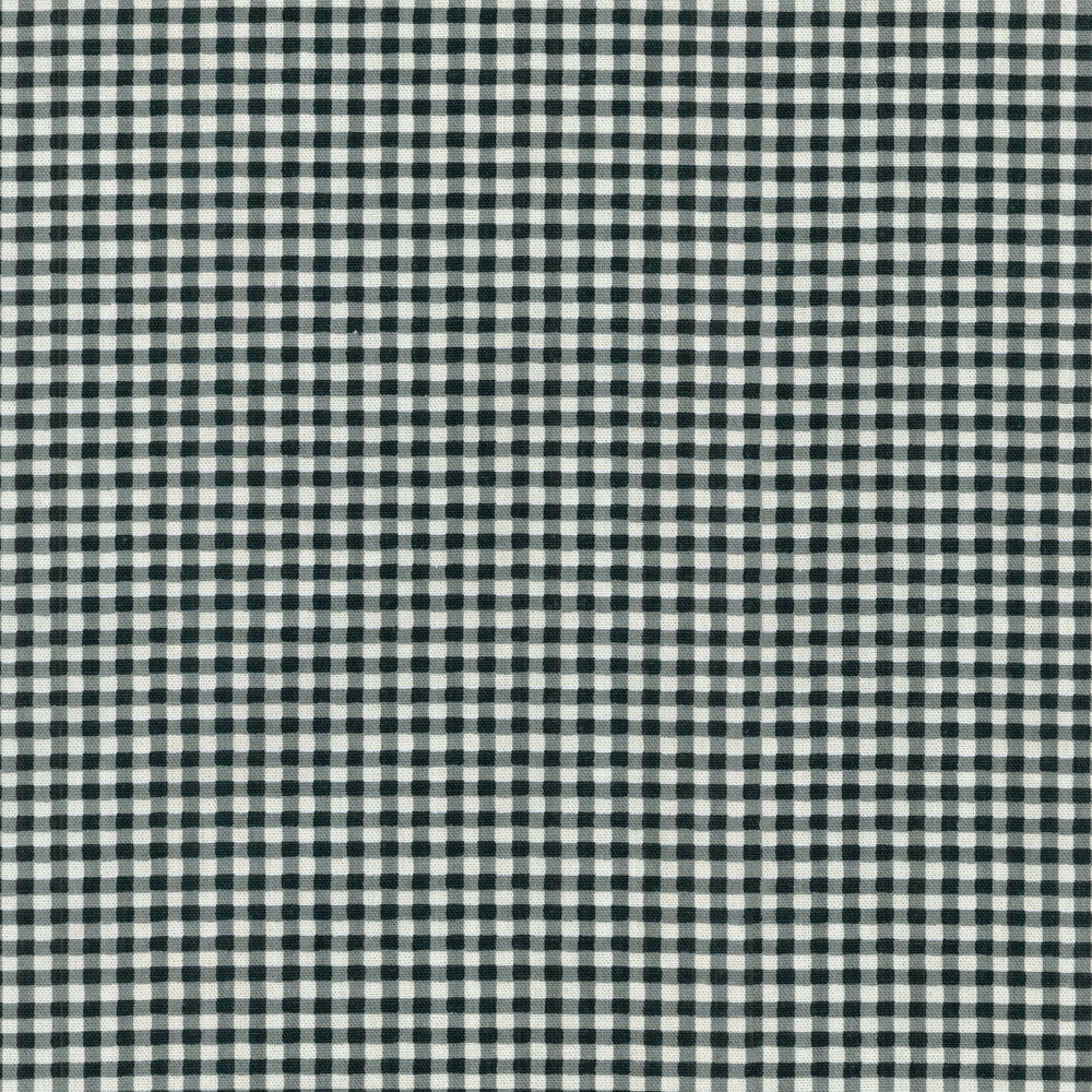 Gingham Charcoal 406701 by PKL Studio Fabric - 100% COTTON USA 51000 Horizontal: 2.6 and Vertical: 1.5 54 - Fabric Carolina -