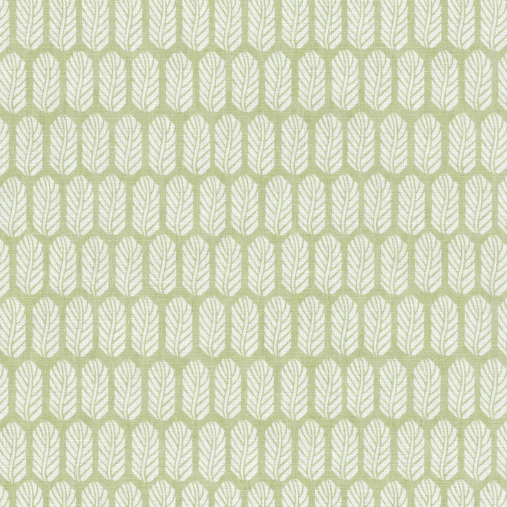 Quill Celery 406730 by PKL Studio Fabric - 100% COTTON USA 51000 Horizontal: 3.3 and Vertical: 6.3 54 - Fabric Carolina -