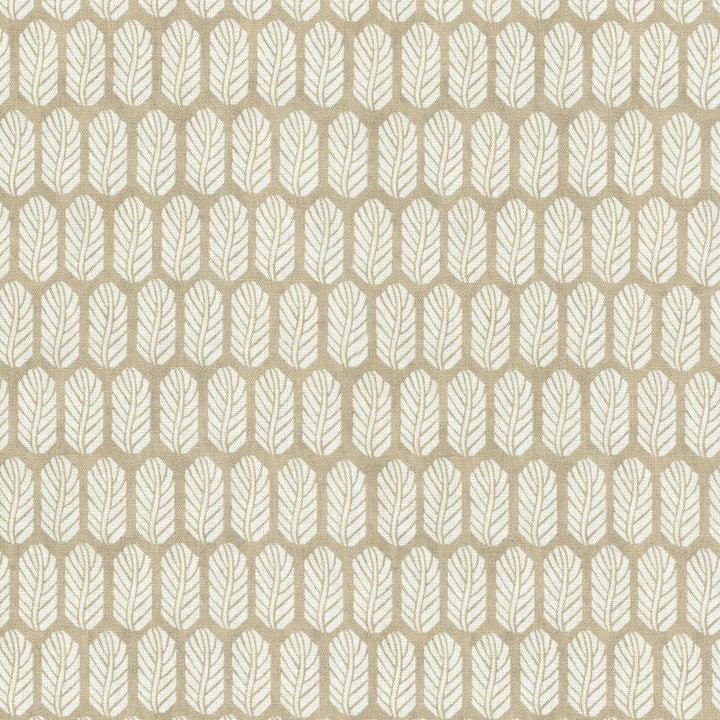Quill Natural 406731 by PKL Studio Fabric - 100% COTTON USA 51000 Horizontal: 3.3 and Vertical: 6.3 54 - Fabric Carolina -