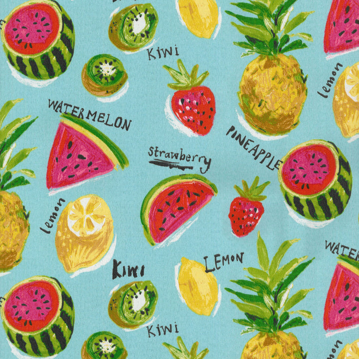 Fresh Sliced Calypso 406790 by PKL Studio Outdoor Fabric - 100% POLYESTER USA 51000 Horizontal: 13.5 and Vertical: 13.5 54 - Fabric Carolina -
