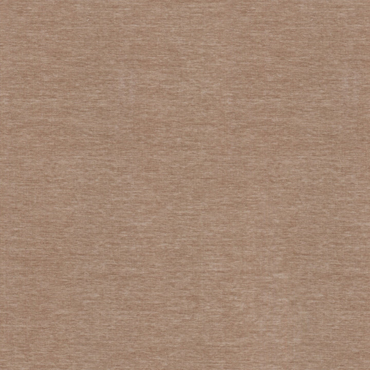 Revel Mushroom 406838 by PKL Studio Fabric - 100% COTTON 51000 Horizontal: 0 and Vertical: 0 54 - Fabric Carolina -