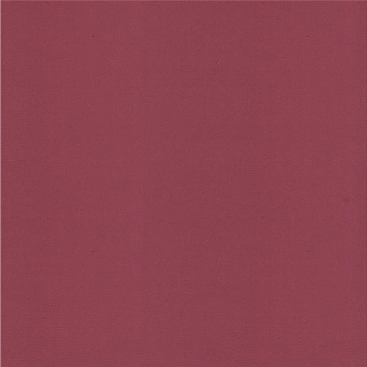 4070.101 by Kravet Design Designer Fabric in our sample Silk 100% India See Sample Horizontal: See Sample and Vertical: See Sample 53.5 inches - Swanky Fabrics -