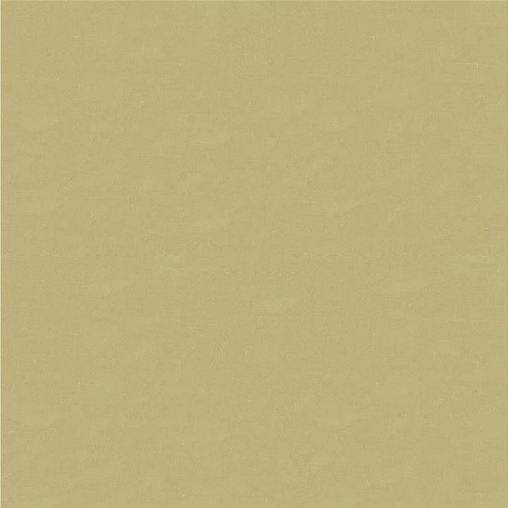 4070.106 by Kravet Design Designer Fabric - Silk 100% India - H" -, V: - 53.5 inches  - Swanky Fabrics -  Kravet Design