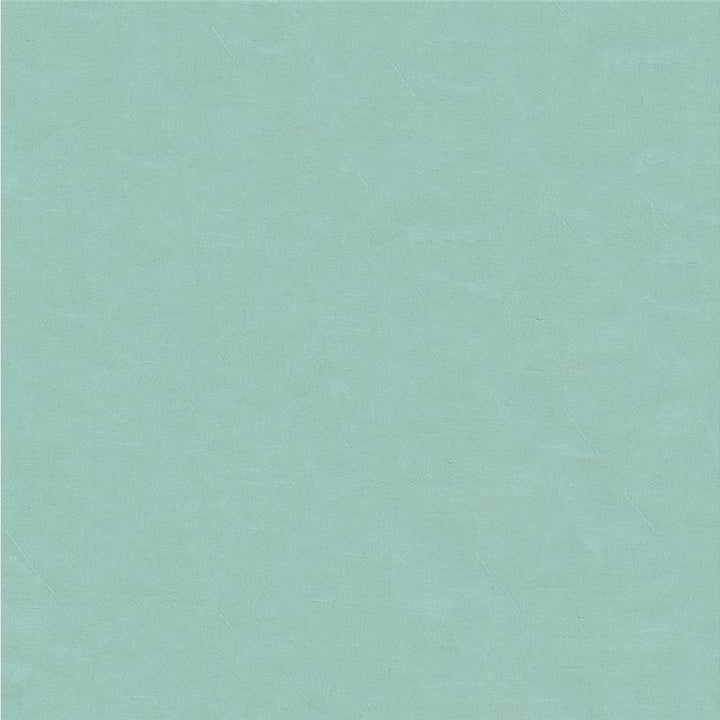 4070.115 by Kravet Design Designer Fabric in our sample Silk 100% India See Sample Horizontal: See Sample and Vertical: See Sample 53.5 inches - Swanky Fabrics -