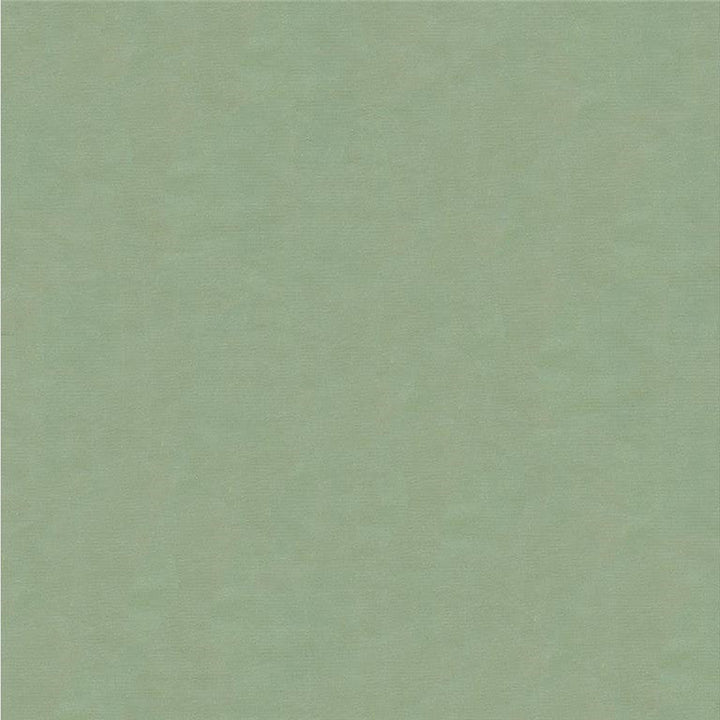 4070.5252 by Kravet Design Designer Fabric in our sample Silk 100% India See Sample Horizontal: See Sample and Vertical: See Sample 53.5 inches - Swanky Fabrics -